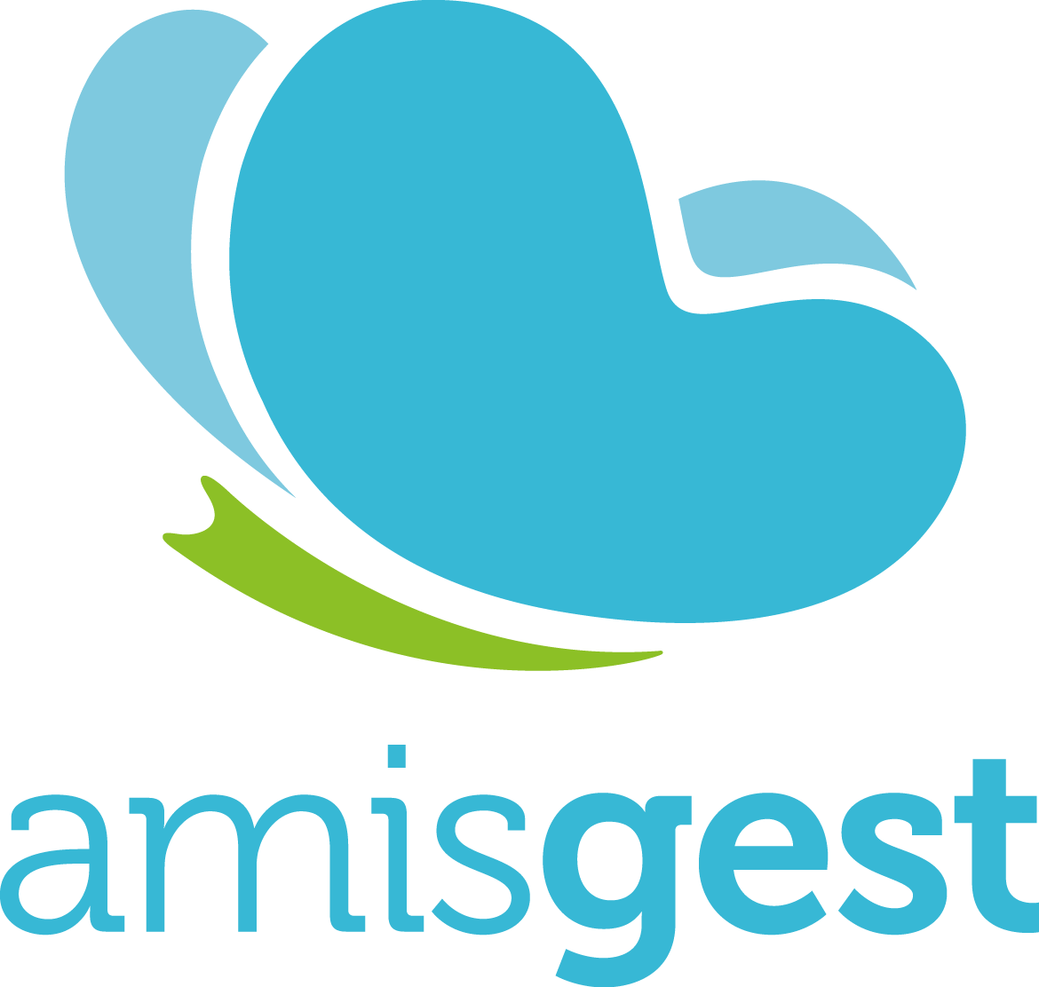 Amisgest