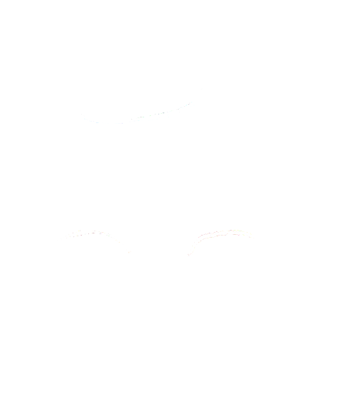 Logo de l'application À Petits Pas