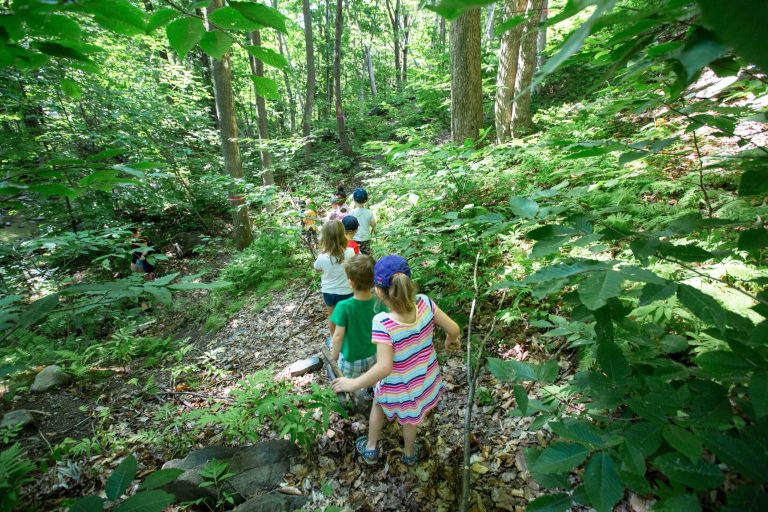 Enfants en promenade sur un sentier en forêt