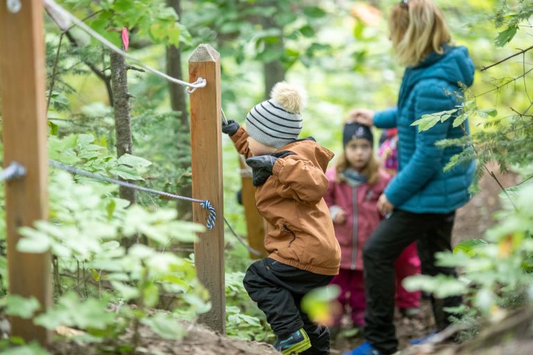 Enfants qui jouent dans un module de bois en forêt